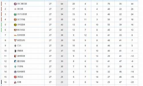 2017年德甲联赛排名_2016-2017德甲