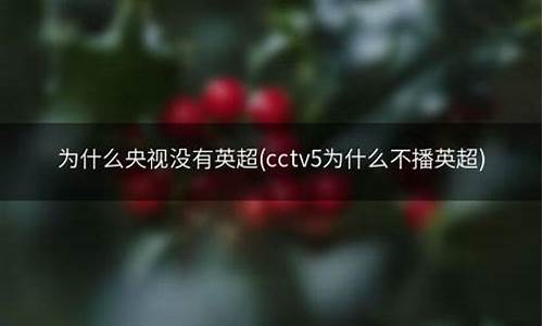 央视不转播英超原因_cctv5为什么没英超